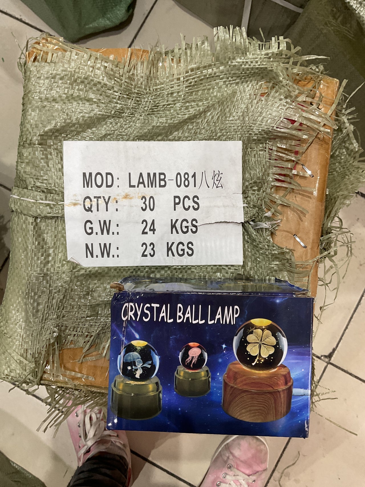 LAMB-081